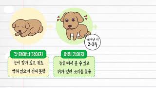 과학 3학년 1학기 3단원 8차시 영상(60-61p)