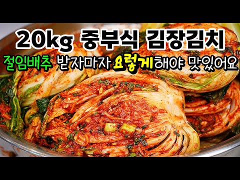 1년 내내 맛있는 중부식(서울식) 김장김치 20kg🥇 실패없이 누구나 쉽게 大성공!!  절임배추 그냥 씻지마세요!