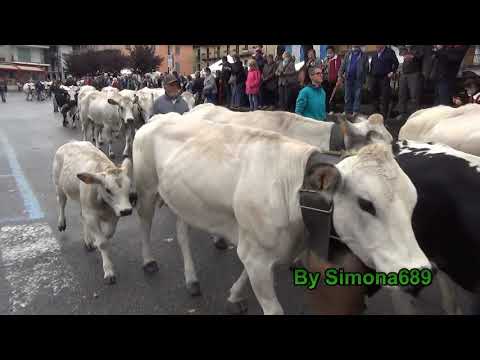 "RUDUNA'", Sampeyre, passaggio delle Mandrie in Transumanza