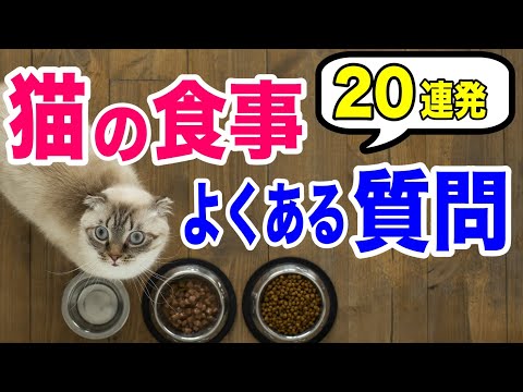穀物不使用のキャットフード:量が重要です!