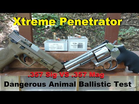 Underwood Xtreme Penetrator .357 Sig VS .357 Mag "Dangerous Animal" Ballistic Test