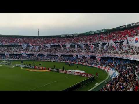 Paraná clube. Torcida Fúria independente, Couto Pereira