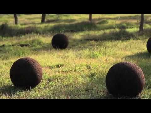 Видеообзор