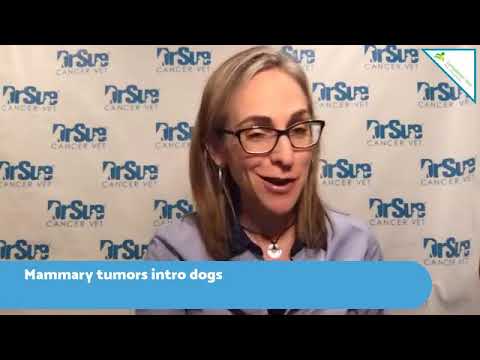 Mammary cancer in dogs and cats: Dr Sue Q & A