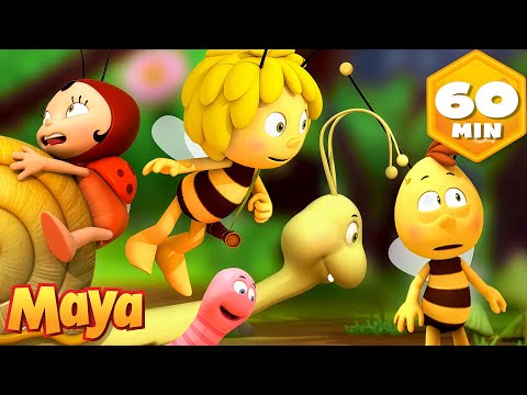 Friends on a Mission: Who Will Deliver the Message? 🐝Maya The Bee| Cartoon and video for Kids