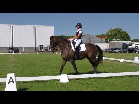 | Maaike Westdijk & Harry Brabantse Ruiterdagen 2018 | Kringkampioen M1