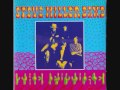 STEVE MILLER BAND -  Roll With It