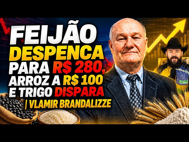 Feijão despenca para R$ 280, Arroz a R$ 100 e Trigo dispara | Vlamir Brandalizze.