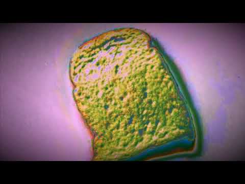 G  Quazo- Change Prod By. Bearmakehits