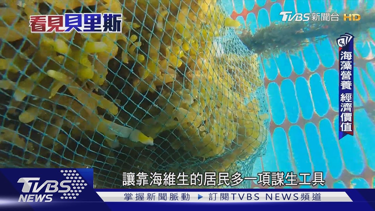 這裡發現大量石油 霸氣總理一句「保護海洋」禁止開採!