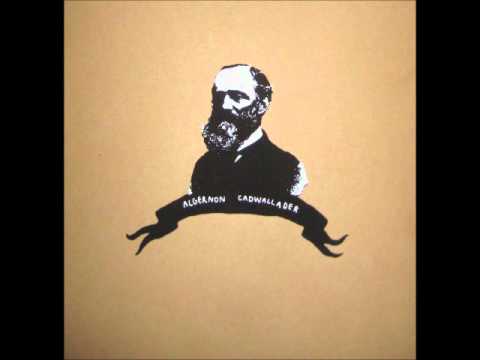 download lagu mp3 mp4 Algernon Cadwallader Merch, download lagu Algernon Cadwallader Merch gratis, unduh video klip Algernon Cadwallader Merch