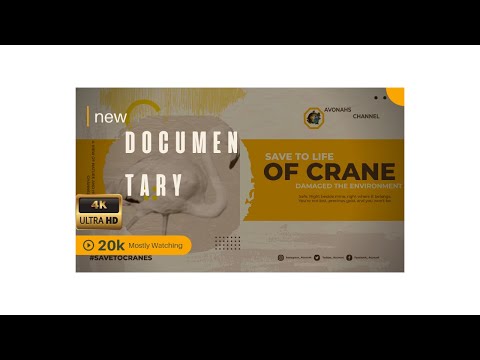 , title : '1 Life Of The Demoisellec Crane In The Khichan  खिचन  में डेमोसेलेक्रेन का जीवन'