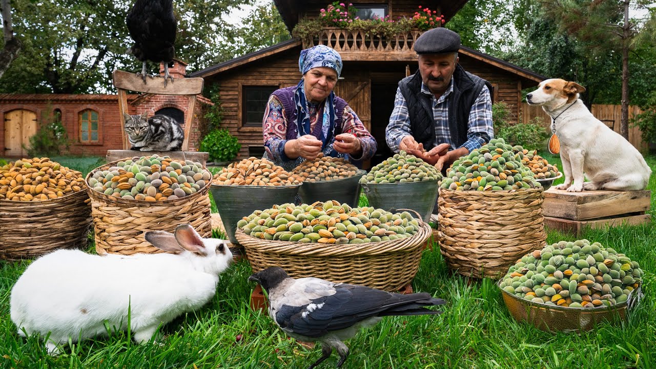 Harvesting and Baking with Fresh Almonds: A Village Tradition