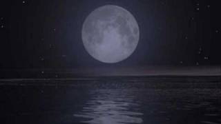 Marco Masini   IL NIENTE