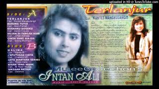 Download lagu Terlanjur | Intan Ali mp3