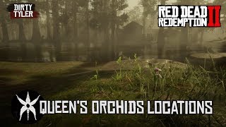 All Queen's Orchid Locations Red Dead Redemption 2 RDR2
