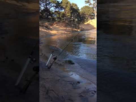 Pesca en represa de Laguna del Sauce (no hubo pesca pero compartimos cómo está)