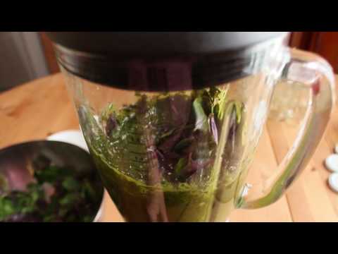 Basilikum haltbar machen