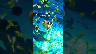 Tiktok Gái Xinh Bikini ❤️ Những Clip Tiktok Triệu View ❤️ Mejores Tik Tok Chinese Girls  #Shorts