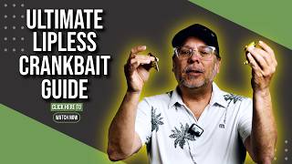 Ultimate Lipless Crankbait Guide