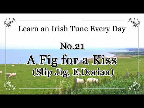 021 A Fig for a Kiss (Slip Jig, E Dorian) Learn an Irish Tune Every Day.
