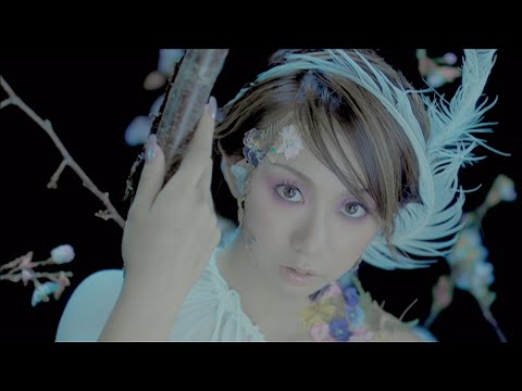 Gentle Words cover