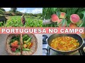 GUARDAR PESSEGOS COMPOTA DE FRAMBOESA CUIDAR DO MILHO Vidanocampo Vidasimples Simpleliving