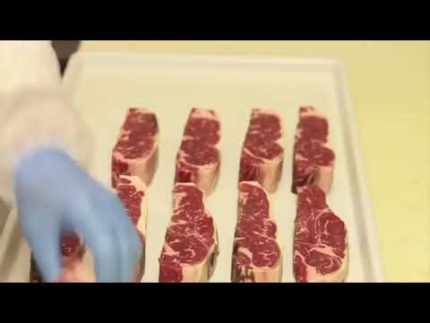 Allfoodproject.com - Cella stagionatura salumi
