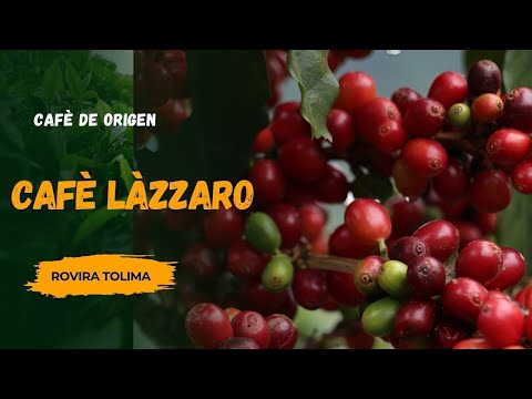 Descubre el Encanto de Café Lazzaro: De Rovira Tolima