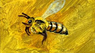 Connie Converse - One By One