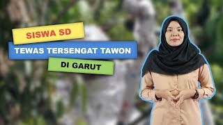 WOW TODAY: Tersengat Tawon, Siswa SD di Garut Harus Meregang Nyawa