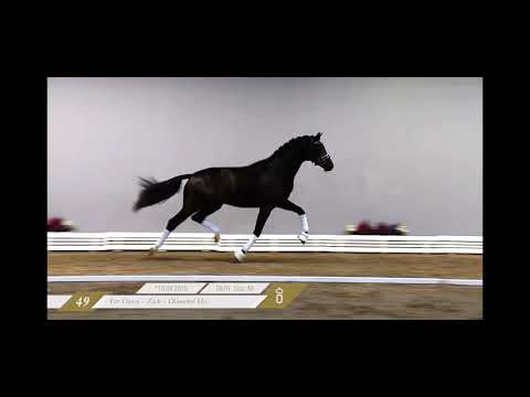 FLORIDA (v. For Dance x Zack)