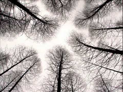 Nemy & Thruo - All around me.wmv