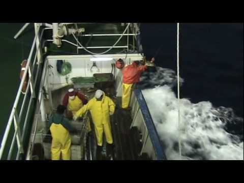 Tami S II ( Arte de Pesca  Palangre Americano )