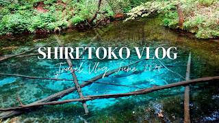 【北海道Vlog#1】知床・道東周遊5泊6日/レンタカーモデルコース/温泉とグルメ/弟子屈 阿寒湖アイヌコタン 神の子池観光
