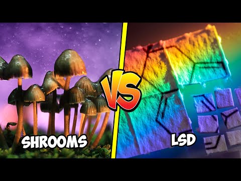 LSD vs. Magic Mushrooms: Which Is Better?