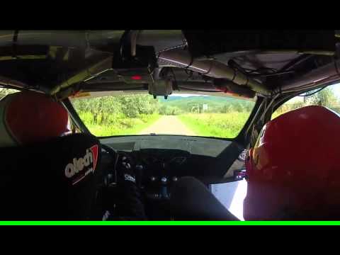 Rally di Reggello 2015 Vigilucci - Niro Renault Twingo R2B
