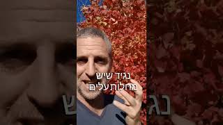 למה נכון לשתול צמחים נשירים בגינה?