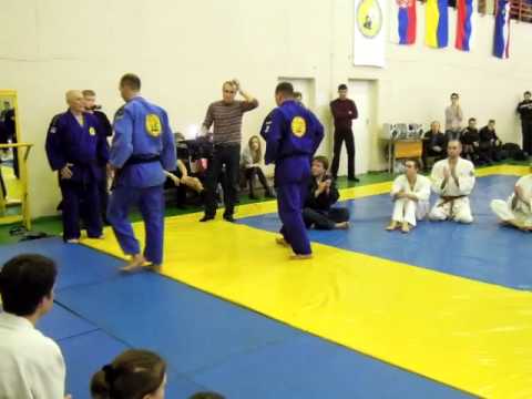 Real Aikido. Ljubomir Vračarević. 2011 Kiev / 15