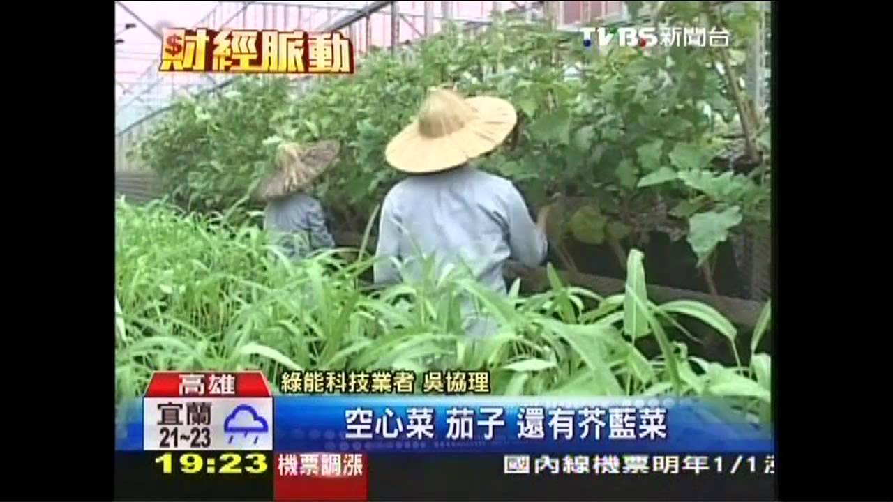 綠能夯!頂樓植栽牆種菜 10坪供3戶吃
