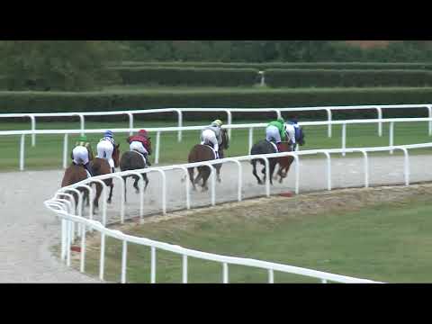 2017.09.03. 1. futam - NYERETLEN KÉTÉVESEK VERSENYE (IV.kat.) (szintetikus pálya)