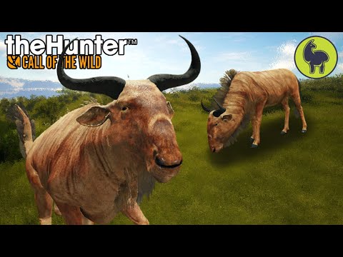 A Rare Sight, Hunt Club Beta | theHunter: Call of the Wild (PS5 4K 60FPS)