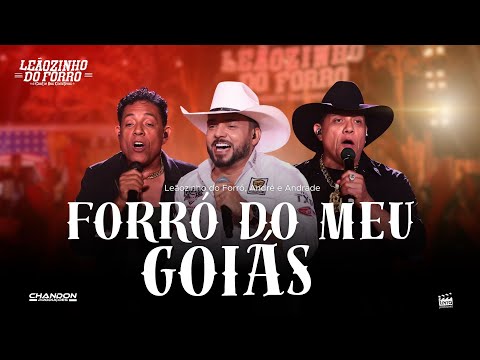 Leãozinho Do Forró Oficial and André & Andrade