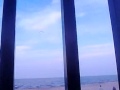 Girls At Cedar Point Try To Steal Seagull Eggs