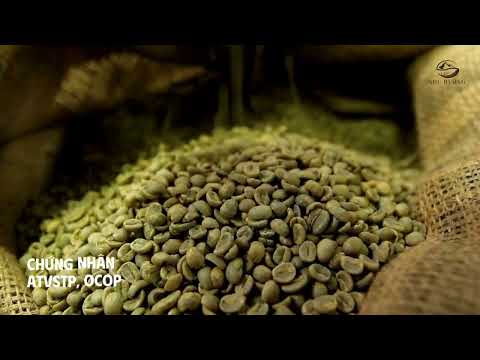 CÀ PHÊ SẠCH, NGUYÊN CHẤT, GIÁ CẠNH TRANH - LỰA CHỌN HÀNG ĐẦU CỦA CÁC QUÁN CÀ PHÊ