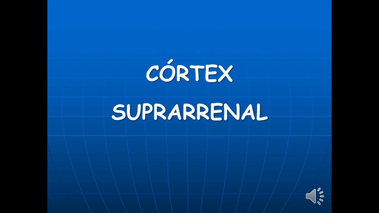 Sistema Endócrino Adrenais