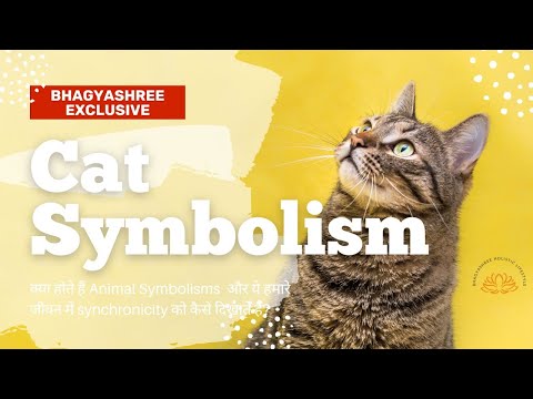Independence and Intuition || Cat Symbolism- बिल्ली दिखने का क्या मतलब होता है? || Bhagyashree