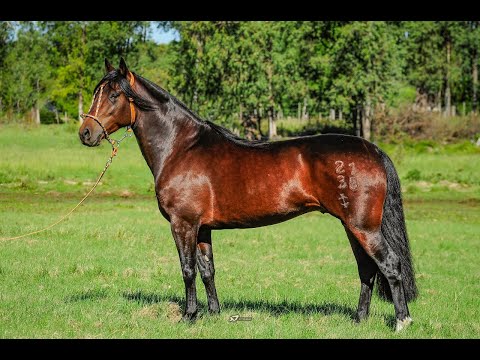 FM Tupamciretã do Cinco Salso 