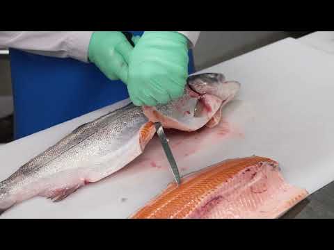 Mathems Matskola: Så filéar du fisk steg-för-steg