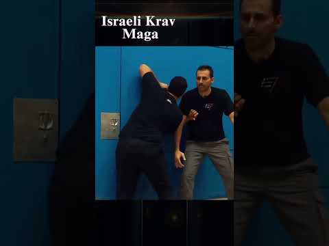 The world's most brutal combat system: Israeli Krav Maga.